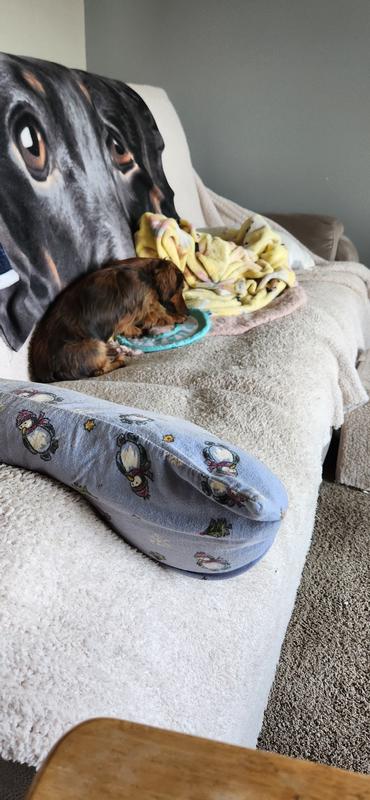 Lainey and Willow taking turns