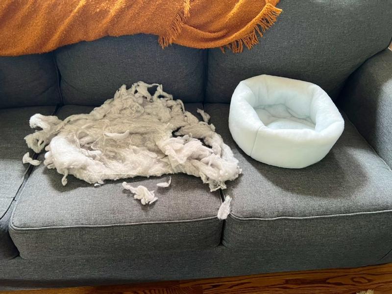 Previous bed next to replacement bed.