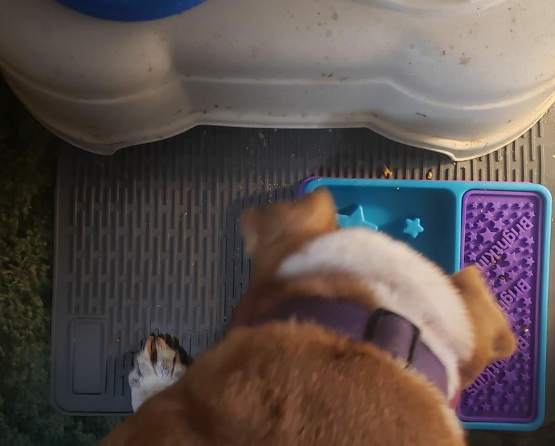 Eating her homemade food