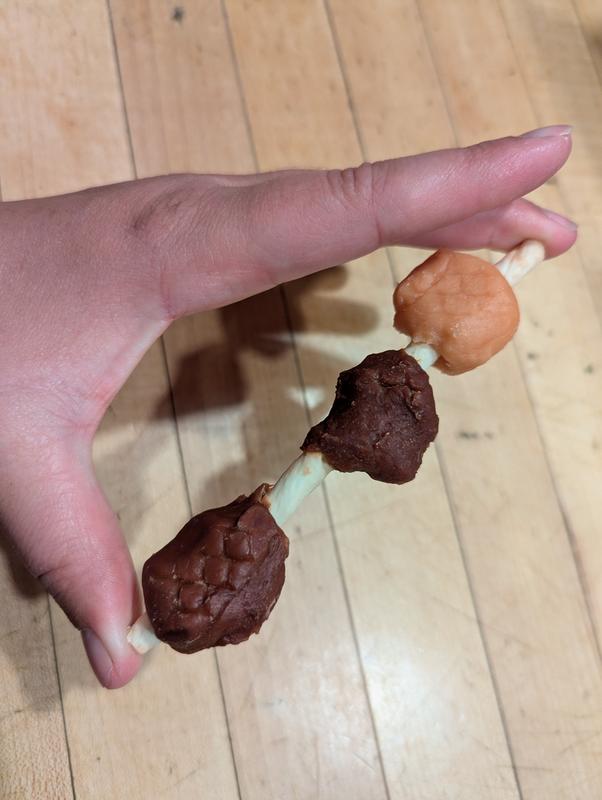 Looks like meat on a stick