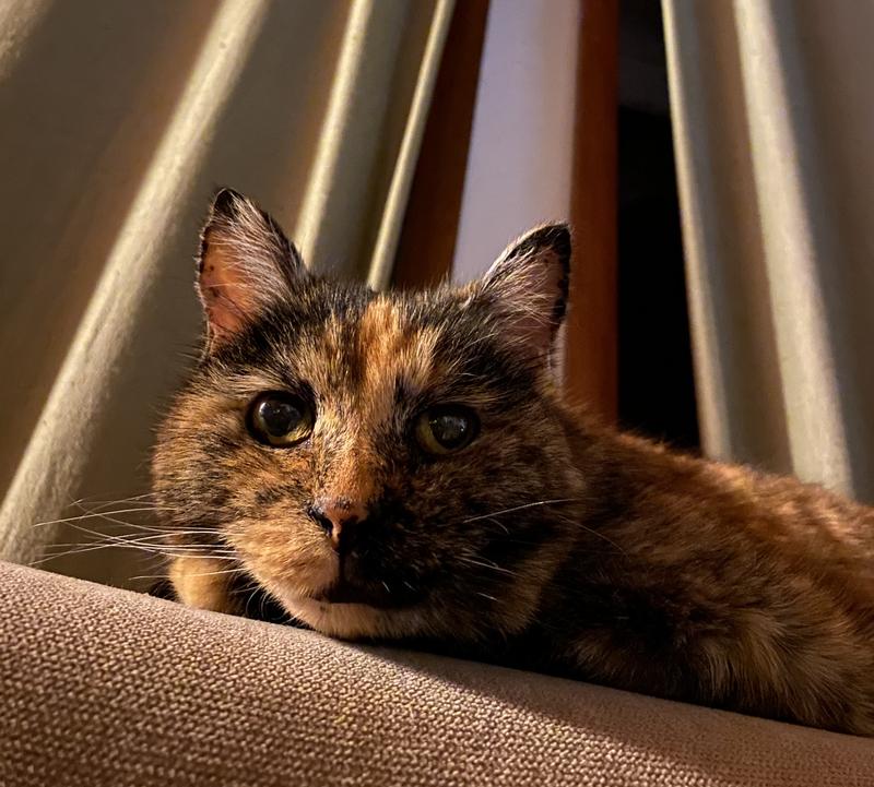 I know I’m Beautiful!