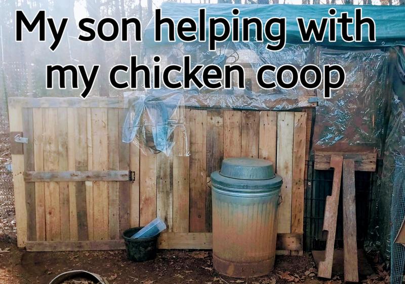 I put inside the large chickens coop