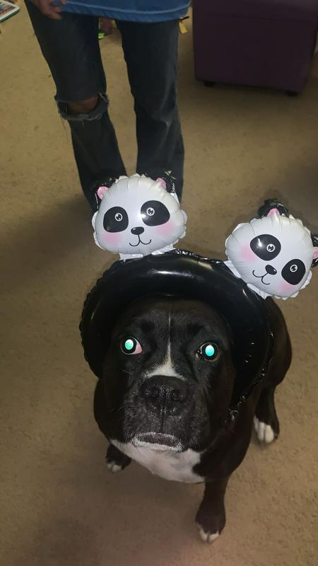 Kobe with his birthday hat!