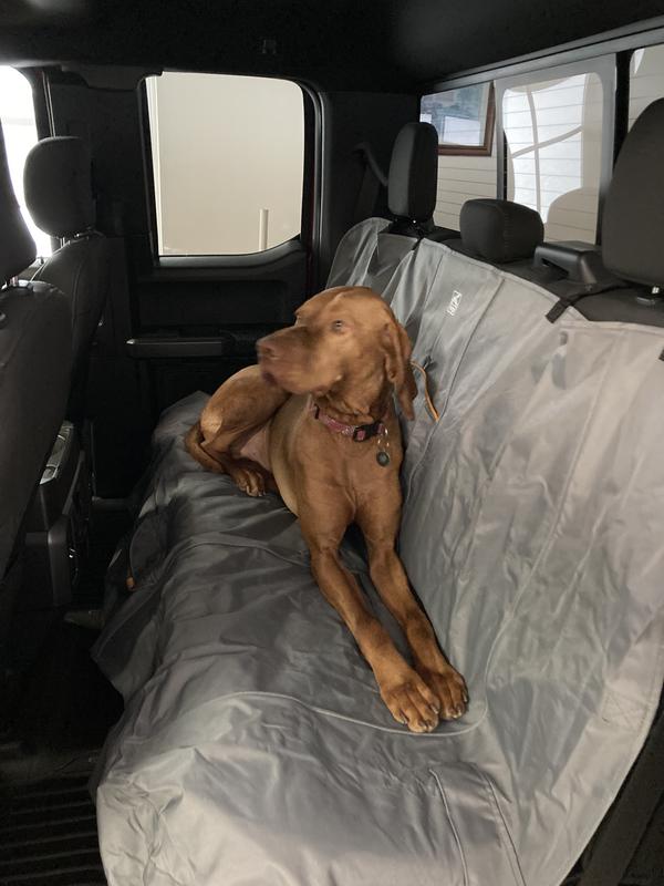 Cooper relaxing in my Ford F150