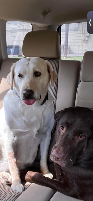 The girls are happy!!