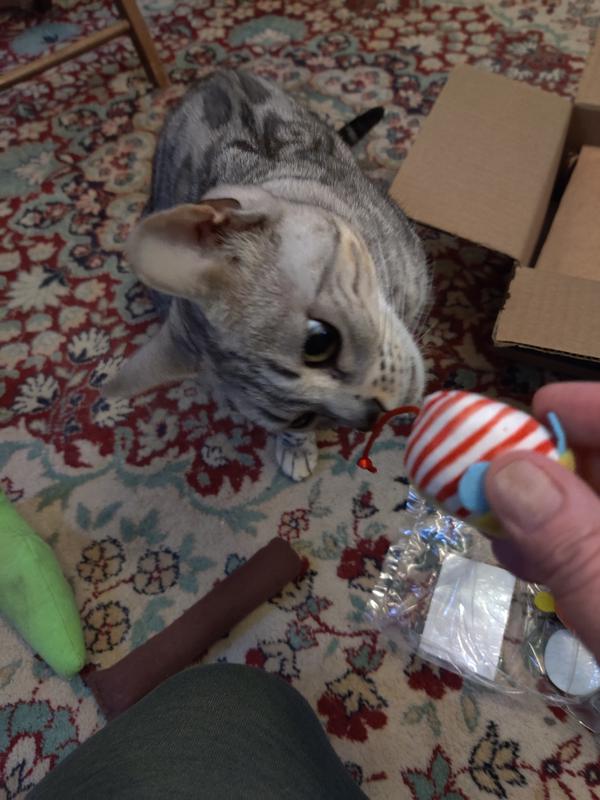 Ooh, this smells yummy