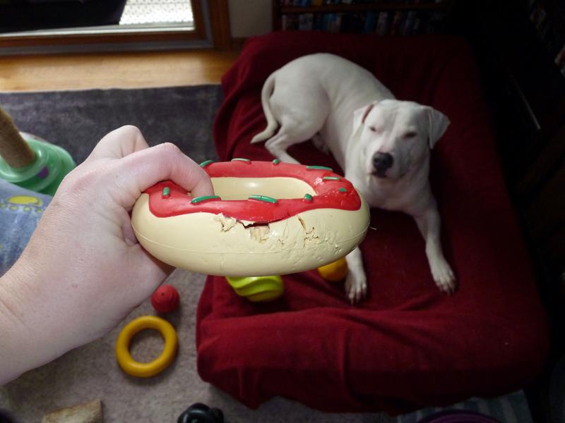 In the garbage it went