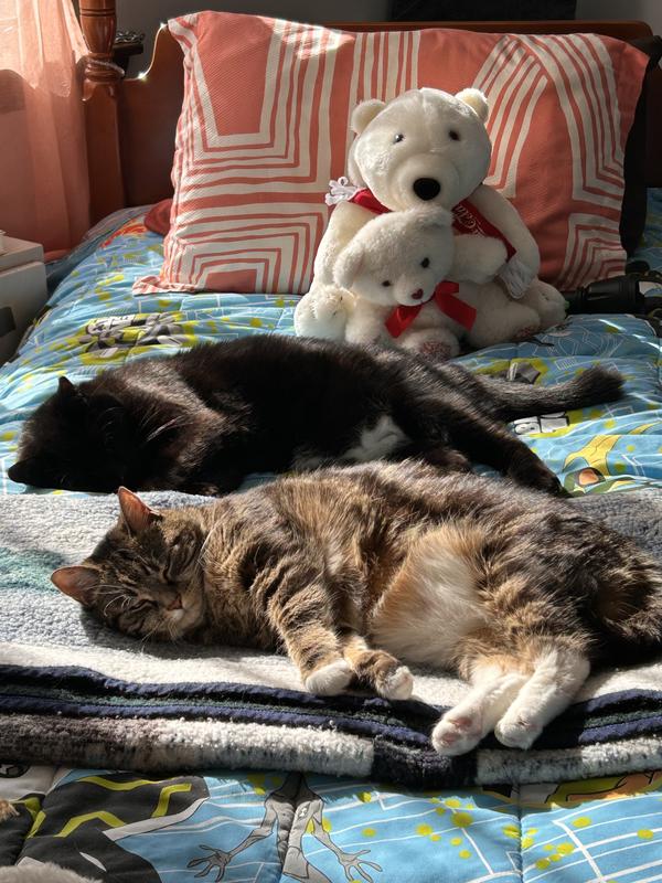 Keeping them comfortable.