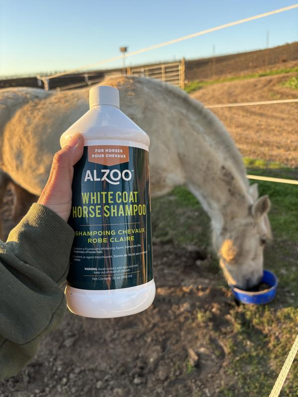 Phoebe with the bottle before her bath