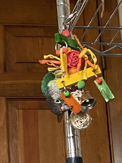 GCC loves it.  Inexpensive and easily replaceable