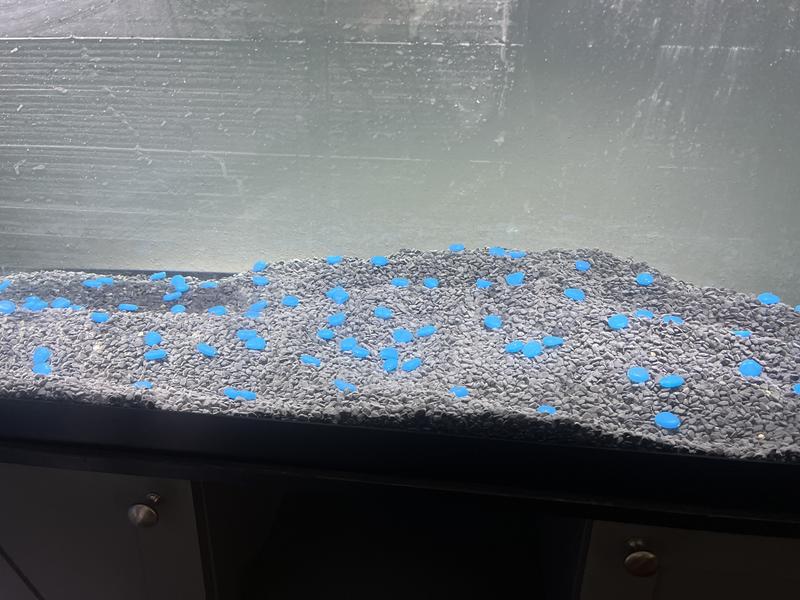 Blue stones not included