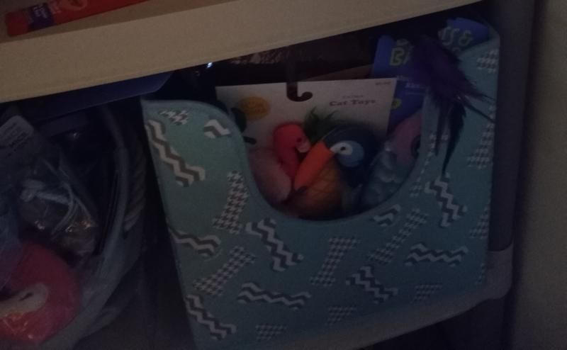 Perfect Storage Bin