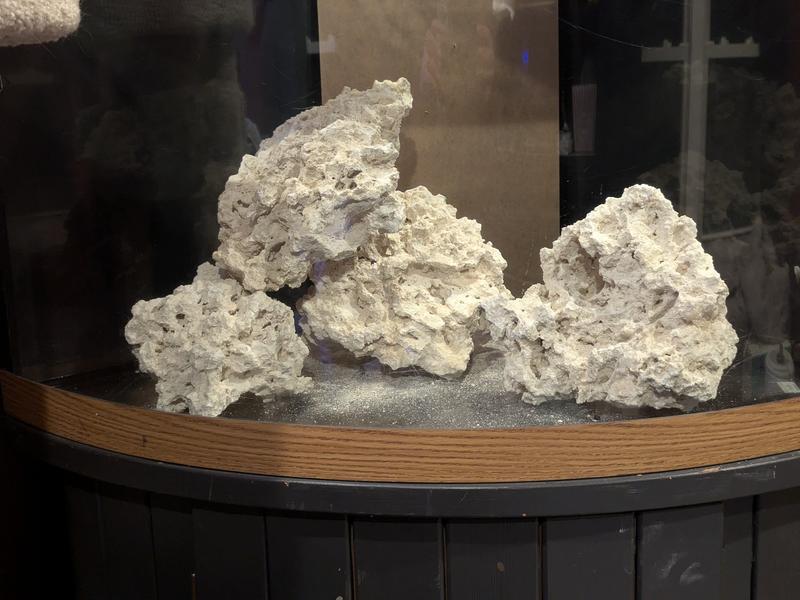 Rough aquascape, looks better in person.