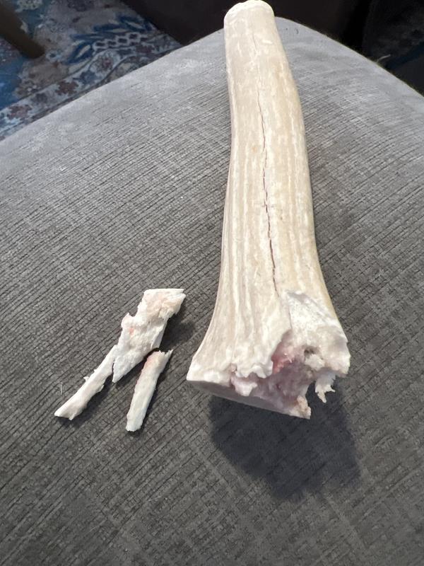 Her gums are bleeding too.