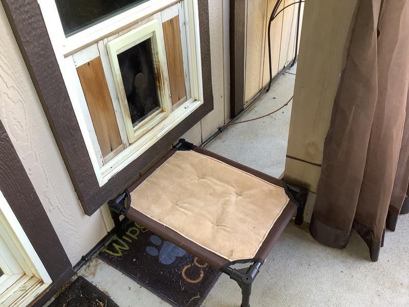 MIRACLE CARE Liquid Bandage Spray for Dogs & Cats