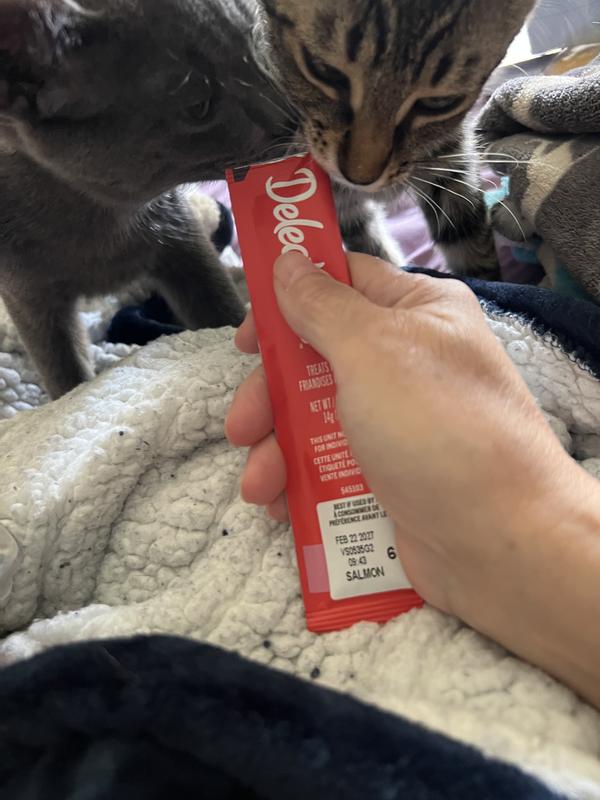 Each wanted to be the one to eat