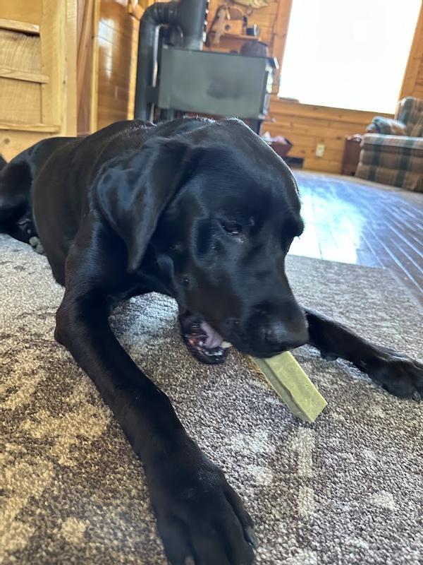 Ok, I'm sold. I love this!