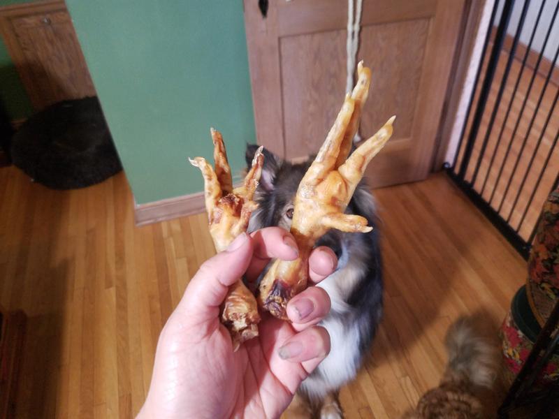 Two of the feet, about the largest and smallest size within the bag, to give an idea of size.  I have dainty girl hands for scale.