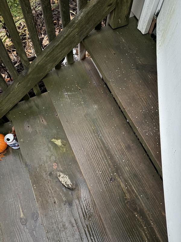 Litter covering steps