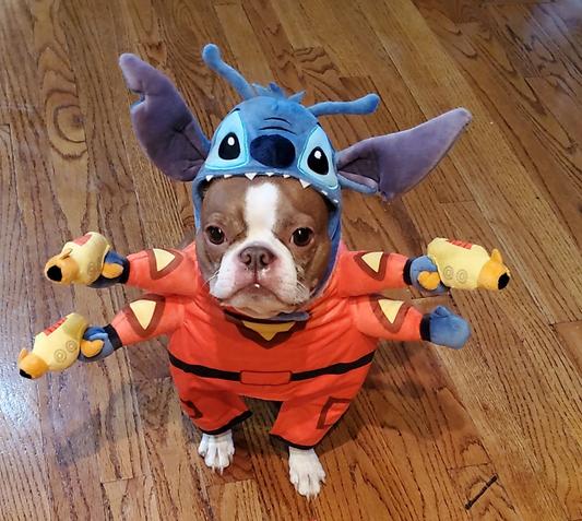 Lilo and hotsell stitch cat costume