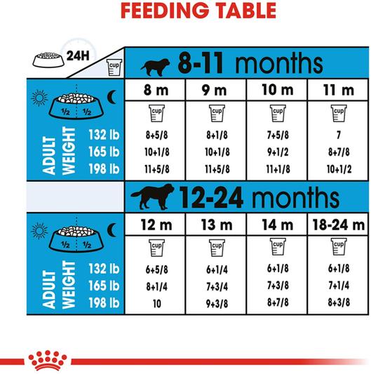 Large breed shop puppy feeding guide