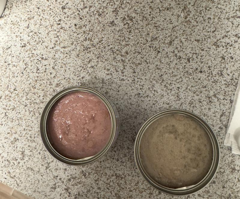 color, texture, smell, mold?