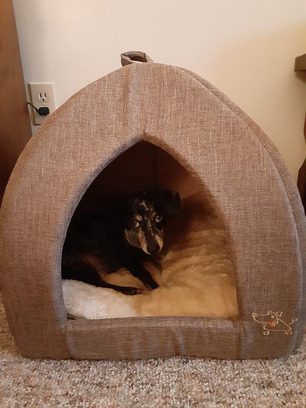 BEST PET SUPPLIES Linen Tent Covered Cat & Dog Bed, Beige, XLarge