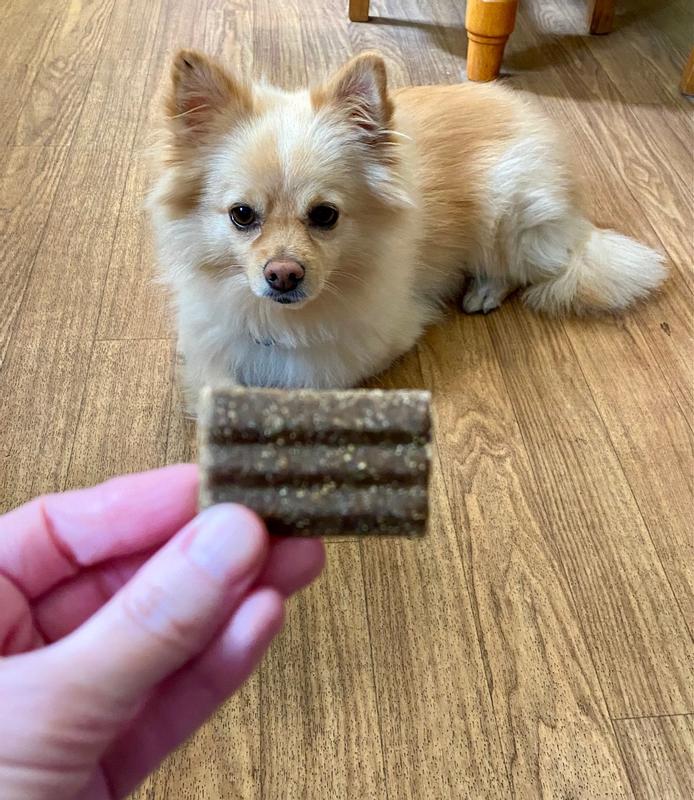 Full size, they're too big for this guy, but soft and easy to break into smaller pieces