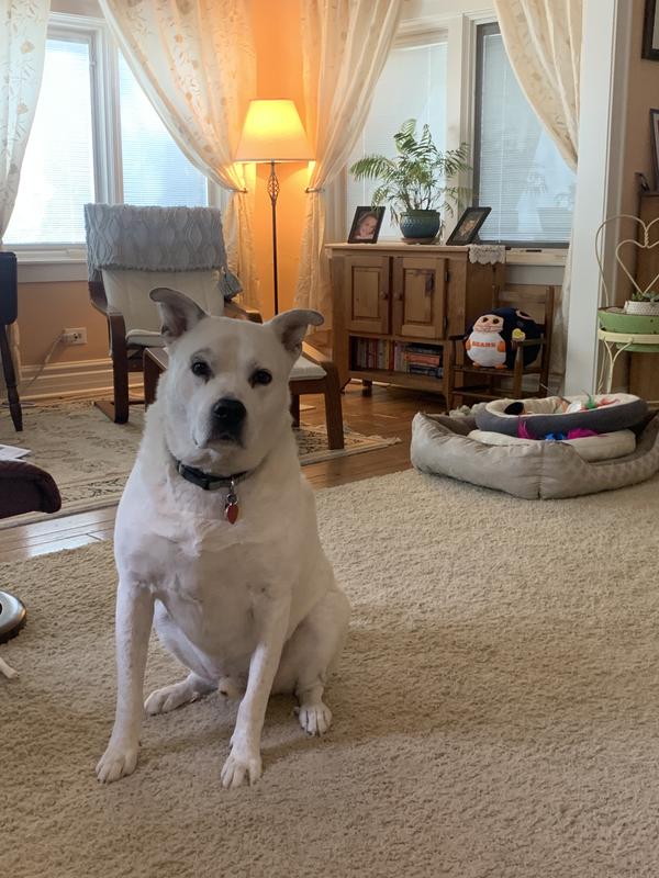 Frosty ☃️ my love.