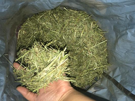 This is not hay! This is dust!