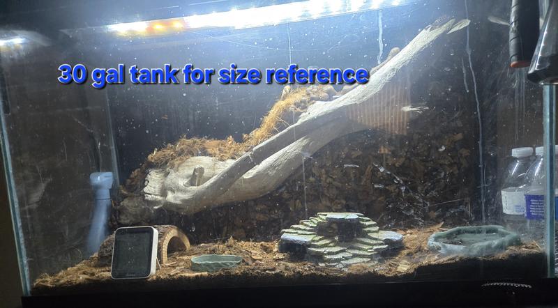 Wouldn't let me load the photo with Jekyll showing but yea there it is.