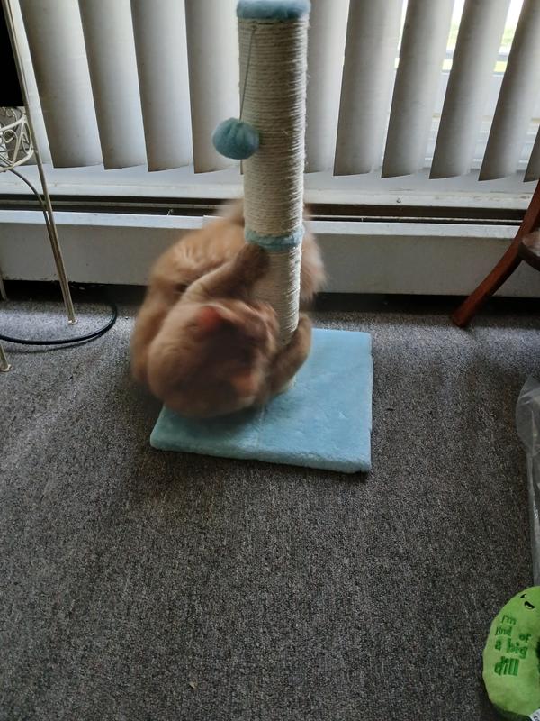 She loves it already