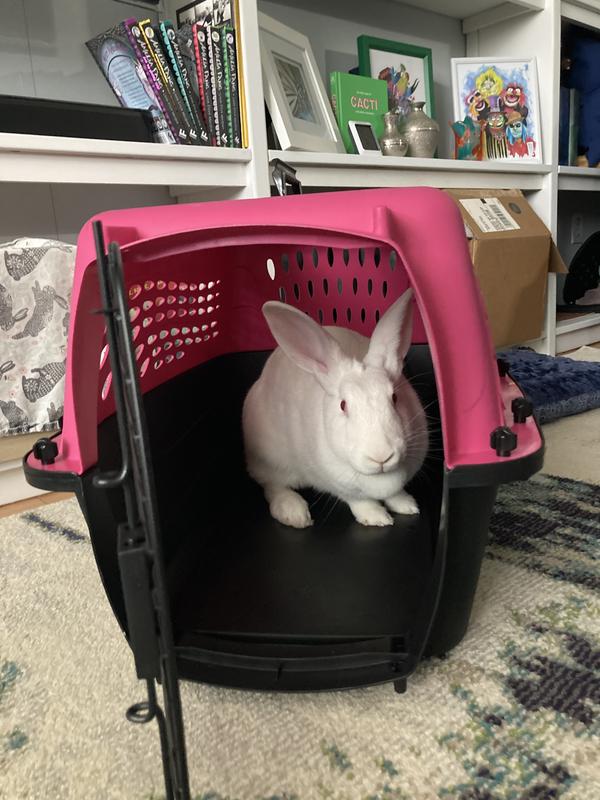 More than enough space for an 8 pound rabbit
