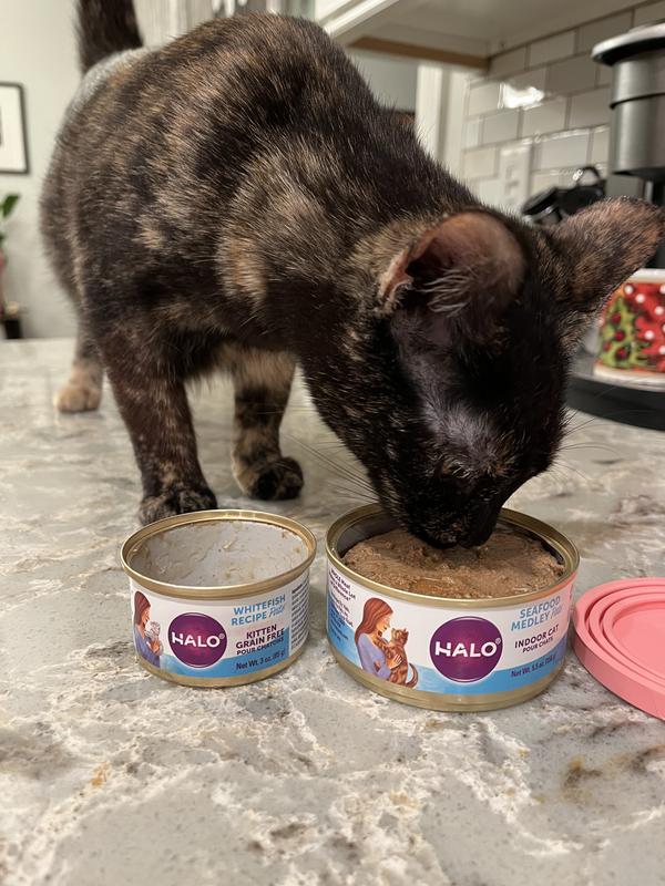 Discontinued HALO Seafood Medley Pate Grain-Free Indoor Cat