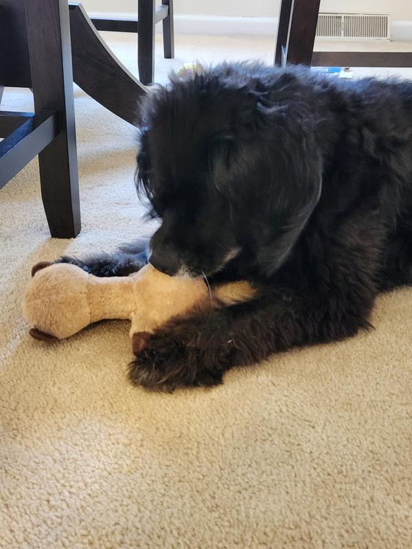 She loves her new squirrel toy
