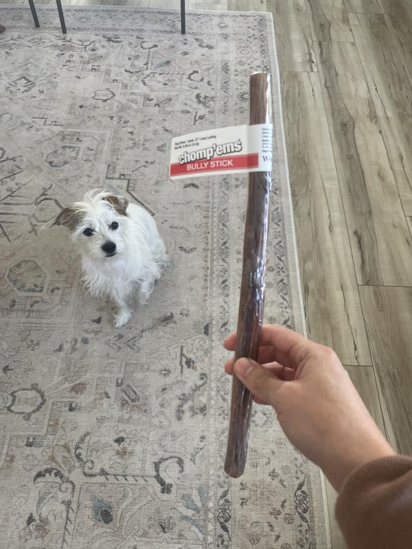 She couldn’t wait to rip into it!