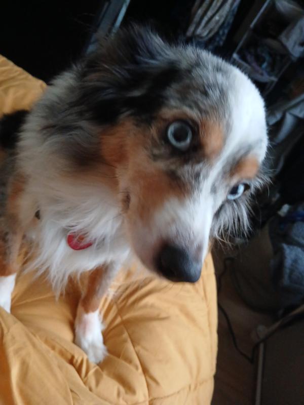 Willow says thanks too