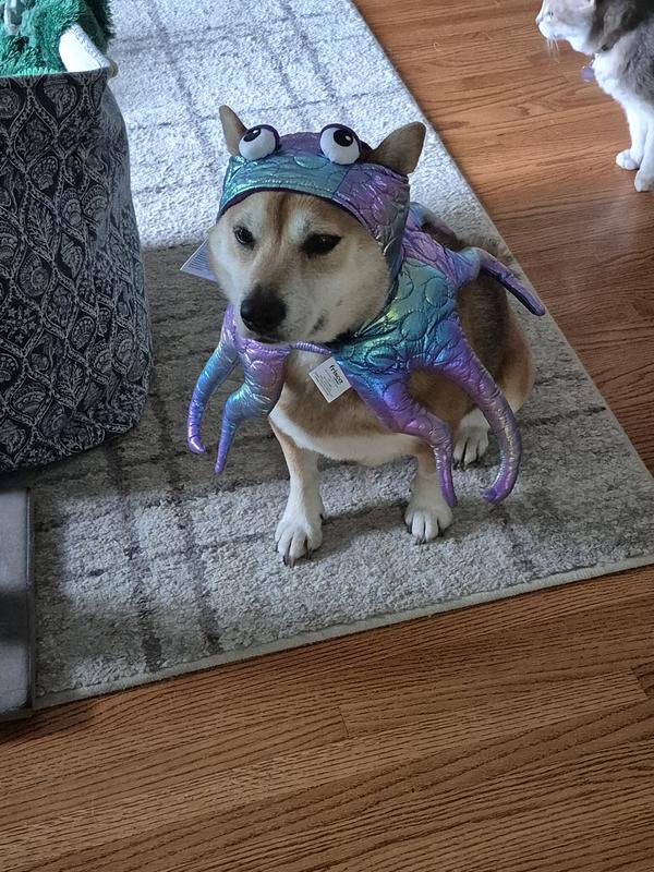 Scared to death of this octopus on my head!