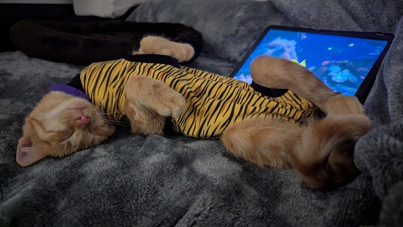 When you fall asleep mid-Netflix binge but still look fabulous.