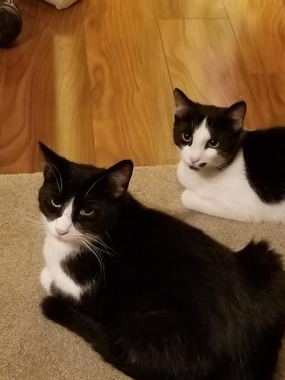 Lefty and Poncho all grown up