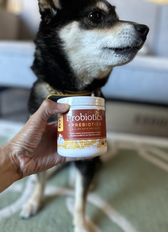 Organic probiotics for dogs sales
