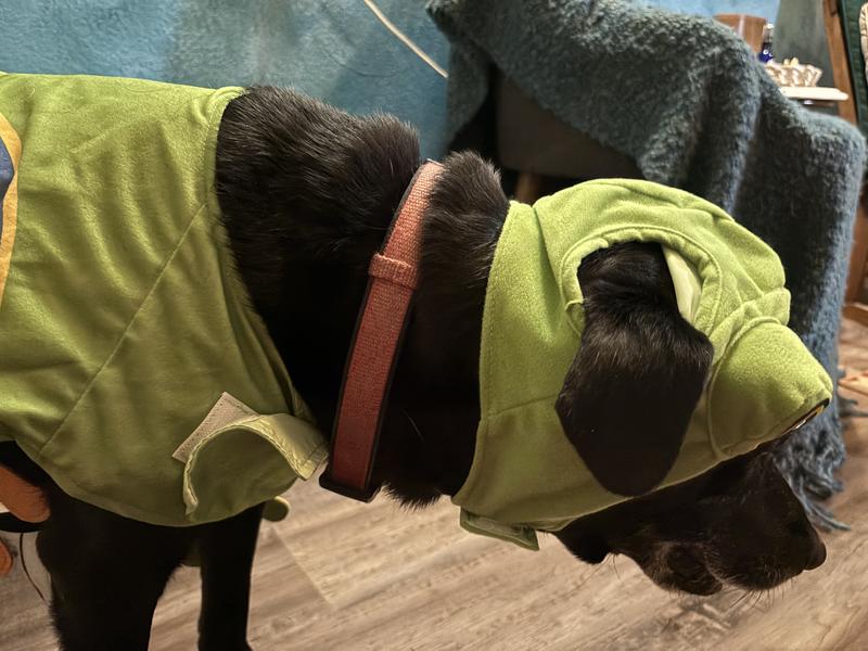 Easy strap to get the head piece on.