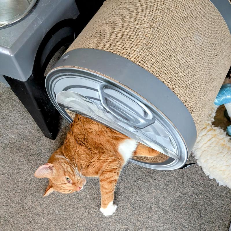 Contents may be spoiled