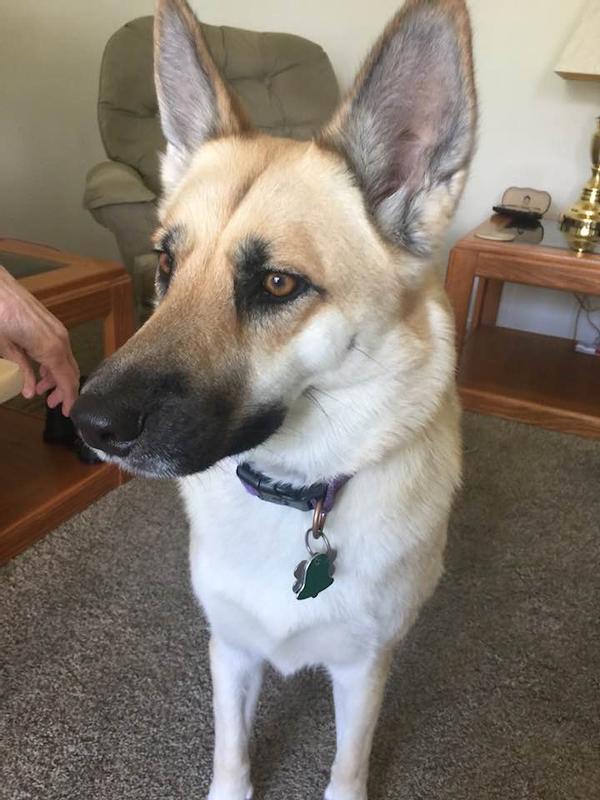 the queen of our house