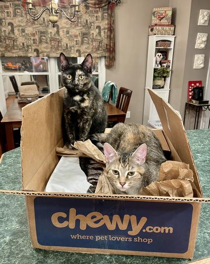 All of our Chewy orders go through a complete cat scan.