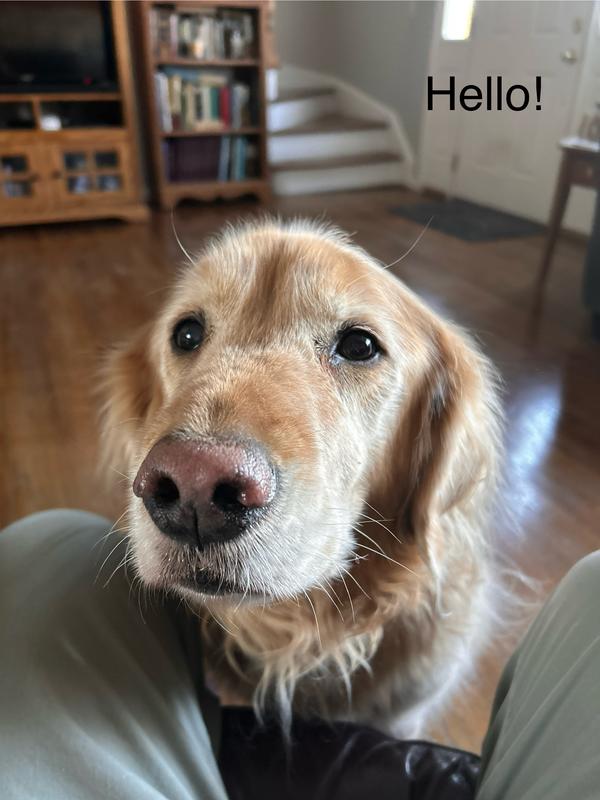 Lila