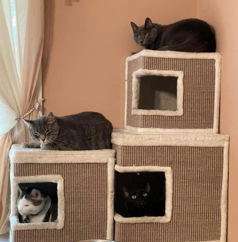 They enjoyed, more then other climbers.