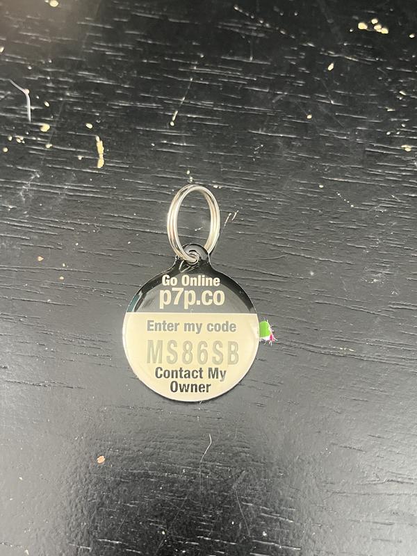 The url someone is supposed to enter (p7p.co) is invalid.