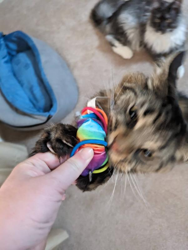 Kong Active Scrunchie Cat Toy