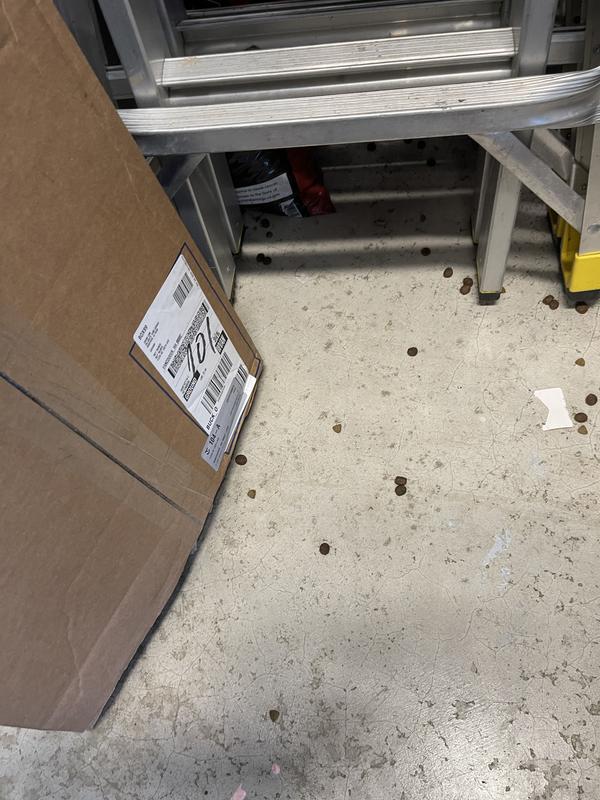 Broken bag inside spilling dog food